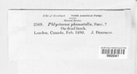 Phlyctema phomatella image